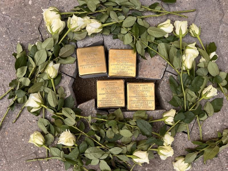 K800_Stolperstein-Home_014_Stolpersteine – 003 – 2026-06-11